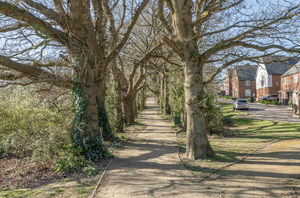 Photo 13- click for photo gallery